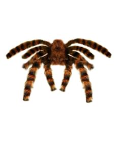 Tarantula deformable 65 cm