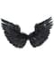 Ailes noires à plumes