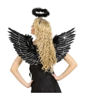 Ailes noires à plumes