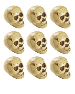 9 têtes de morts Halloween