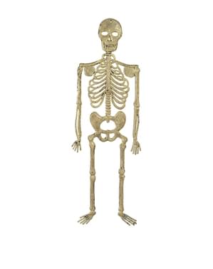 32cm Skeleton Gantung