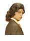 Mens Brown 1970s Wig