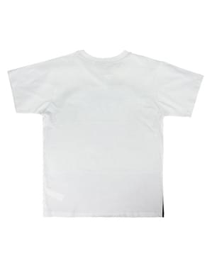 Harry Potter T-Shirt for Boys in Grey