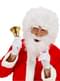 Santa Claus wig and curly beard kit