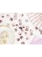 Krug Tablica konfeti, Rose Gold - Nova godina & karneval