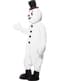 Snowman supreme costume for an adult