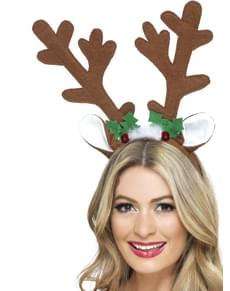 Cornos de arce natalício