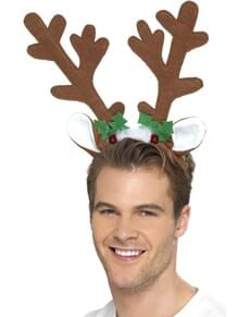 Cornos de arce natalício