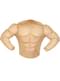 Muscular body for Kids