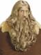 Perruque et barbe de Viking