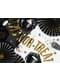 2 decorative paper fans in black with gold spide (32-40 cm) - Trick or Treat Collection