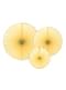 3 decoratieve waaiers in het geel met gouden rand - Yummy
