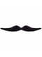 Moustache de Dali