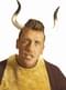 Bull horns