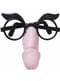 Okulary z nosem-penisem