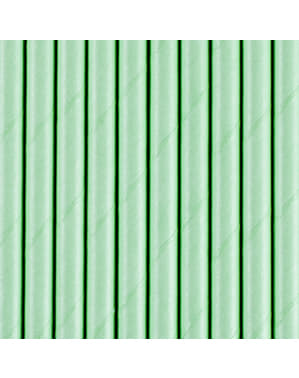 10 Nane Yeşili Kağıt Dilim Seti