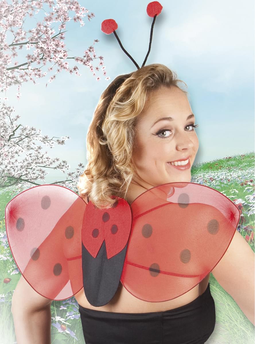Ladybird wings and headband kit for women
