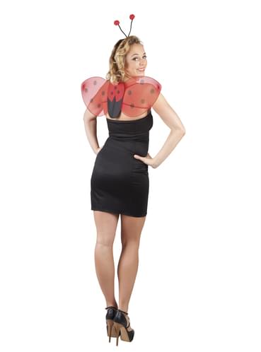 Ailes De Fée De Coccinelle - Ailes D’organza - Ailes De Fée De Filles - Ailes De