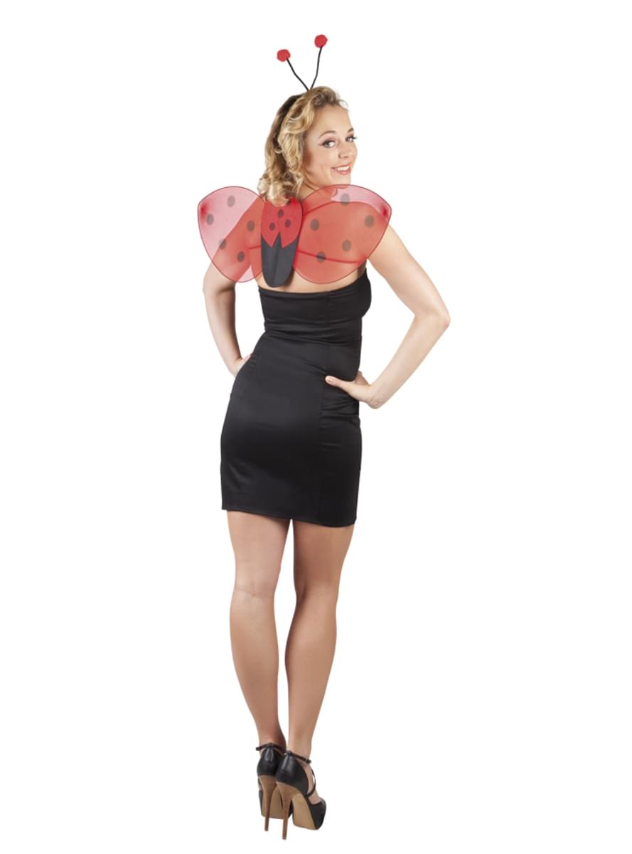 Ladybird wings and headband kit for women