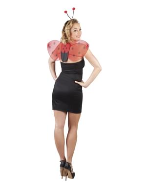Ladybird wings and headband kit for women