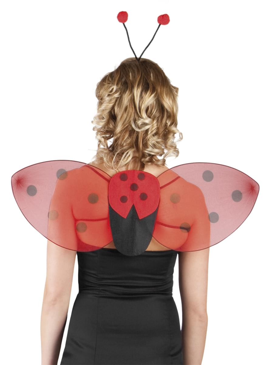 Ladybird wings and headband kit for women