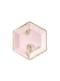 6 Hexagon Papirnati tanjuri sa zlatnim listovima, Pink (23 cm)