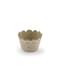 6 cápsulas para cupcakes de papel Kraft - Woodland