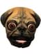 Carlino dog latex mask