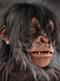 Masker van latex Chimpansee Super Action