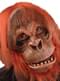 Masque orang-outan Super Action en latex