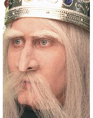 Kit de bruxo feiticeiro