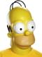 Home Simpson Mask