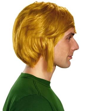 Perruque Link - The Legend of Zelda