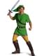 Costum Link din Legend of Zelda pentru adult