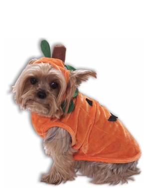 Costume da zucca per cane