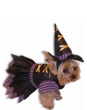 Déguisement sorcière chien