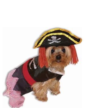 Déguisement pirate chien