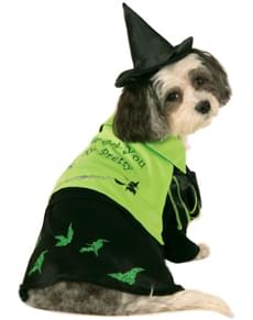 Costume La strega dell'ovest Il Mago di Oz per cane