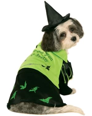 Costume La strega dell'ovest Il Mago di Oz per cane