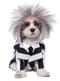 Dogs Beetlejuice costume