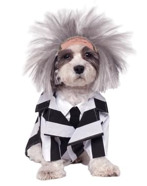 Beetlejuice Hundekostyme