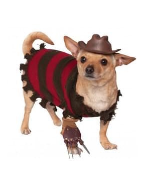 Anjing pakaian Freddy Krueger