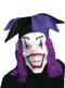 Mens Macabre Harlequin Mask with Wig and Hat