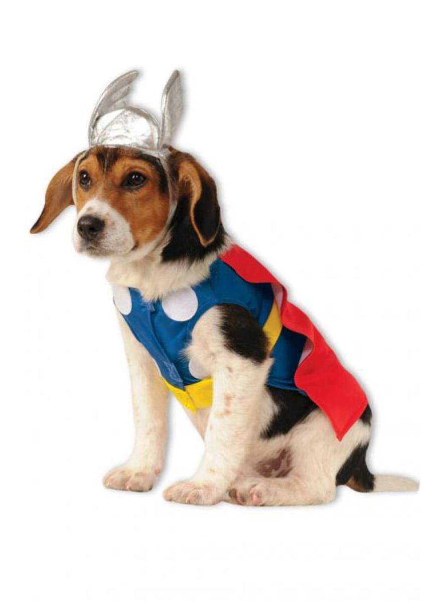 Costume Thor per cane