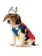 Costume Thor per cane