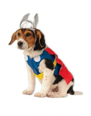 Thor Maskeraddräkt Hund