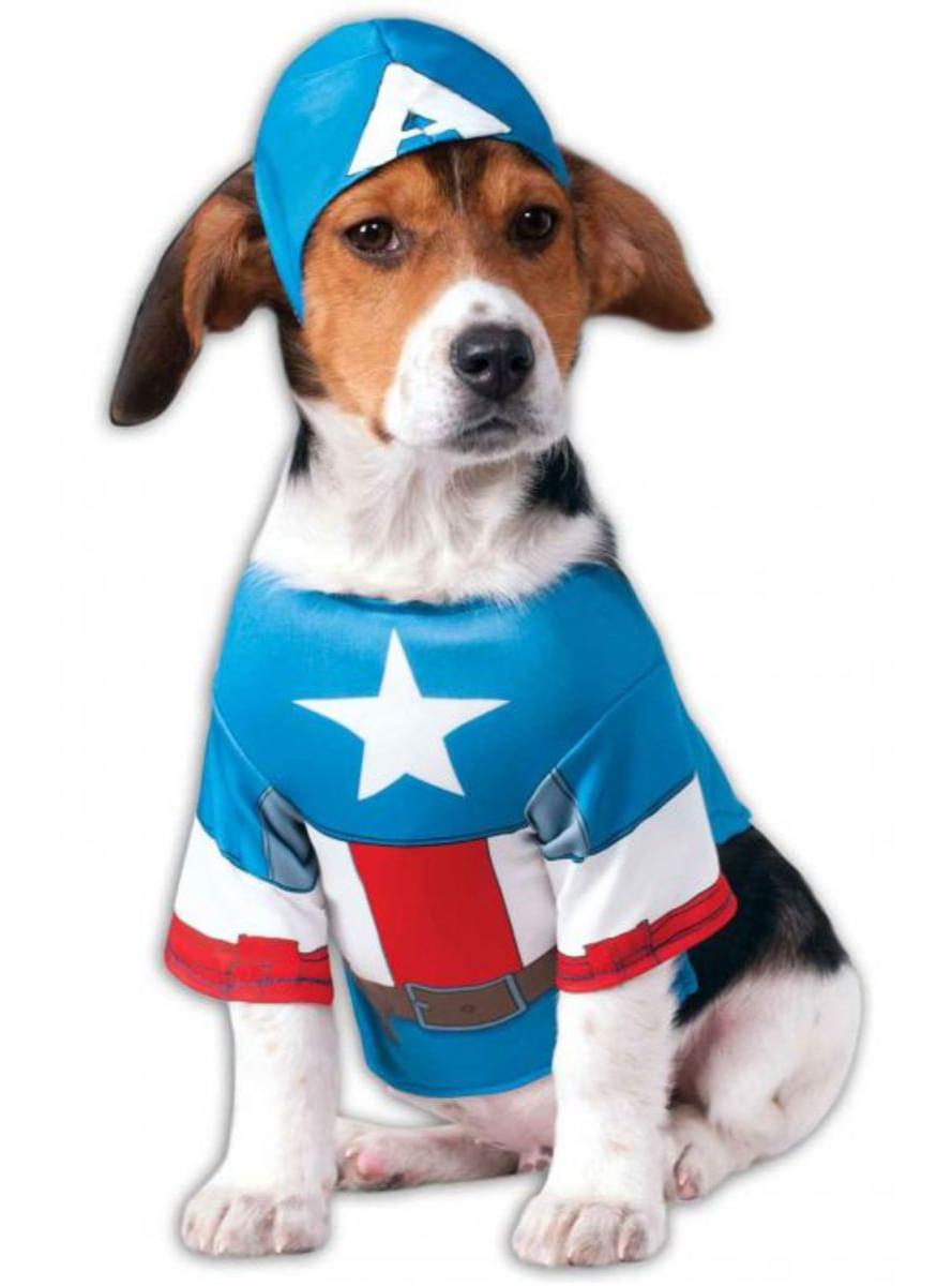 Disfraz de Capitán América para perro