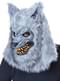 Werewolf Costume for Men