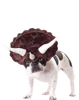 Dogs Triceratops Costume