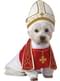 Déguisement de Pape pour chien
